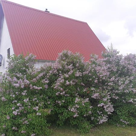 Zabljak Izdavanje Kuce 外观 照片
