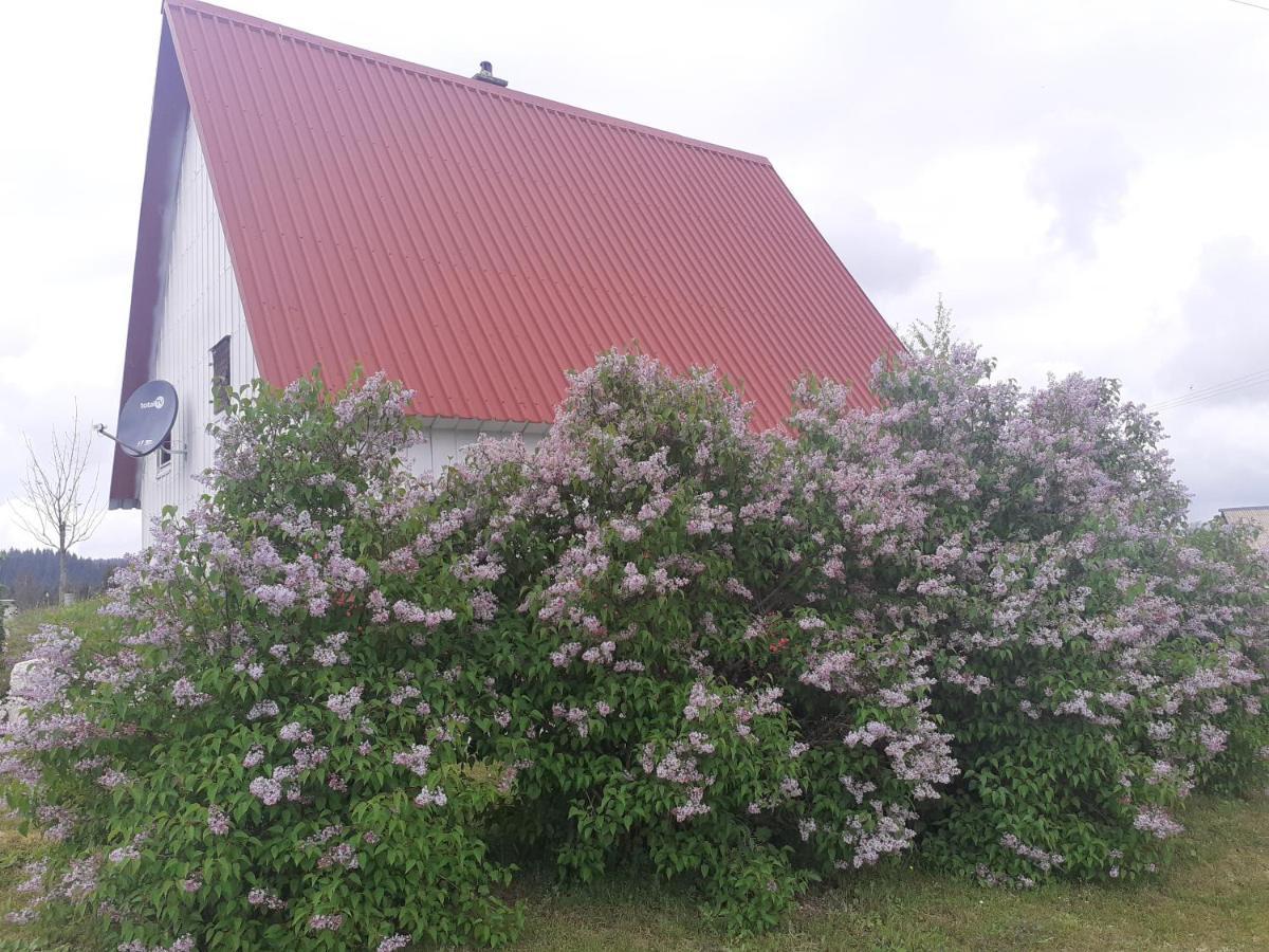Zabljak Izdavanje Kuce 外观 照片