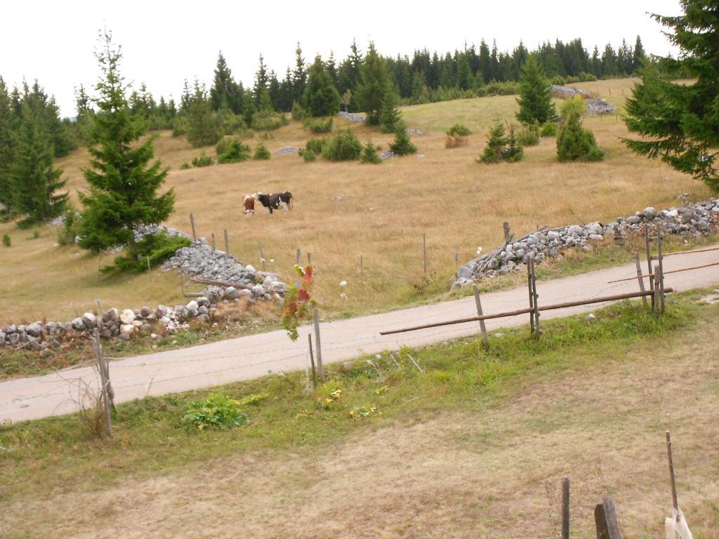 Zabljak Izdavanje Kuce 外观 照片